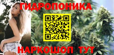 дмт Гай