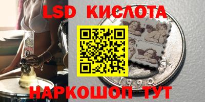 дмт Гай