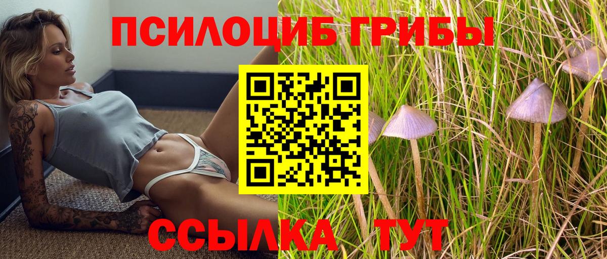 Галлюциногенные грибы мицелий  где купить наркоту  Назарово  Вход с VPN 