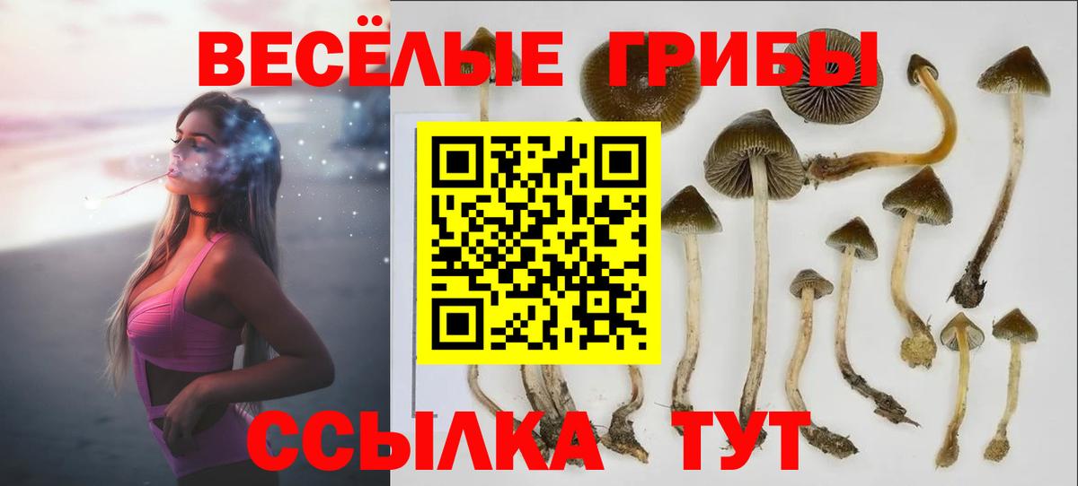 Назарово  Кокаин  Вход с VPN  МАРИХУАНА  АМФ   Меф МЯУ МЯУ   Гашиш  ГАШИШ  Каннабис 