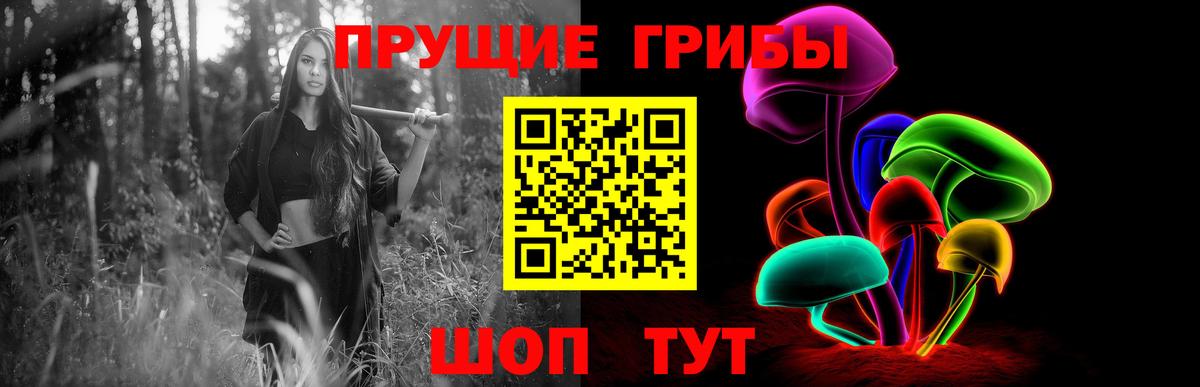 Псилоцибиновые грибы мицелий Назарово